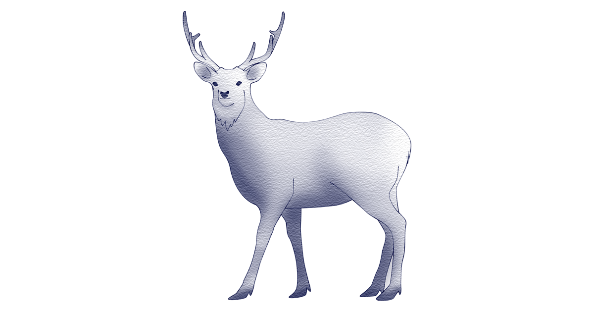鹿革 Deer leather