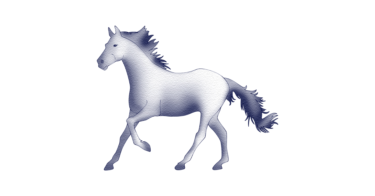 馬革 Horse leather