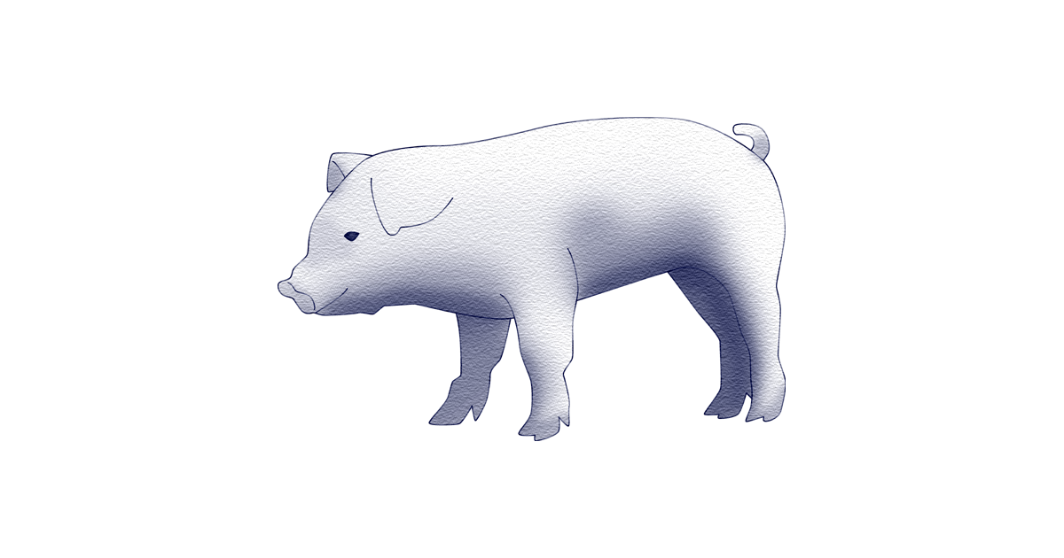 豚革 Pig leather