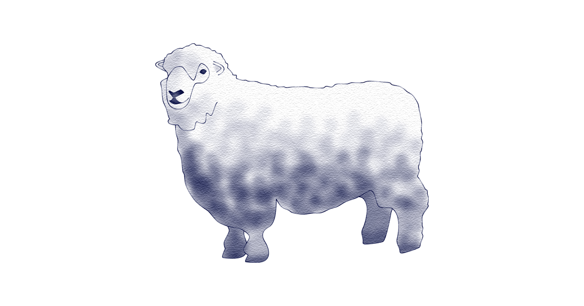 羊の革について