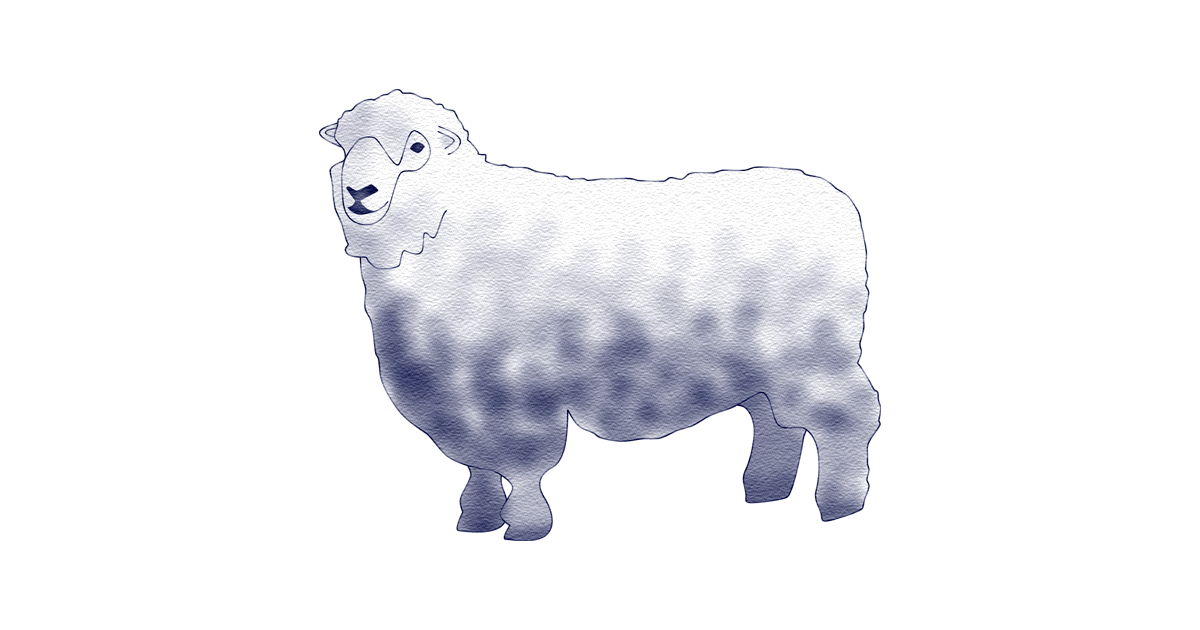 羊革 Sheep leather